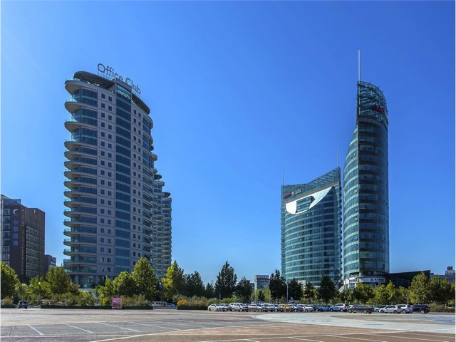 抗病玉米种子公司