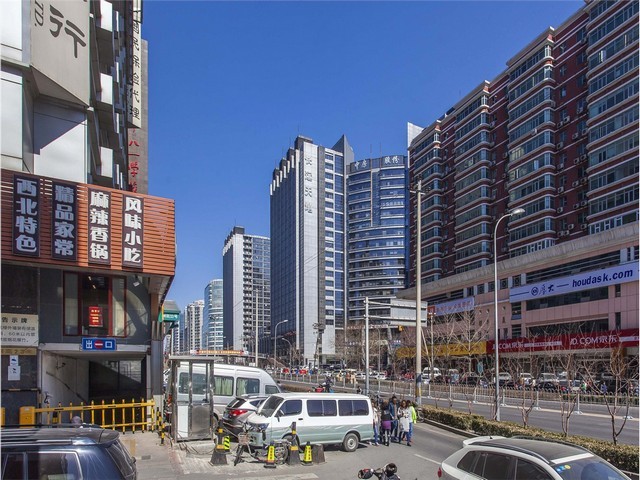 抗病玉米种子公司